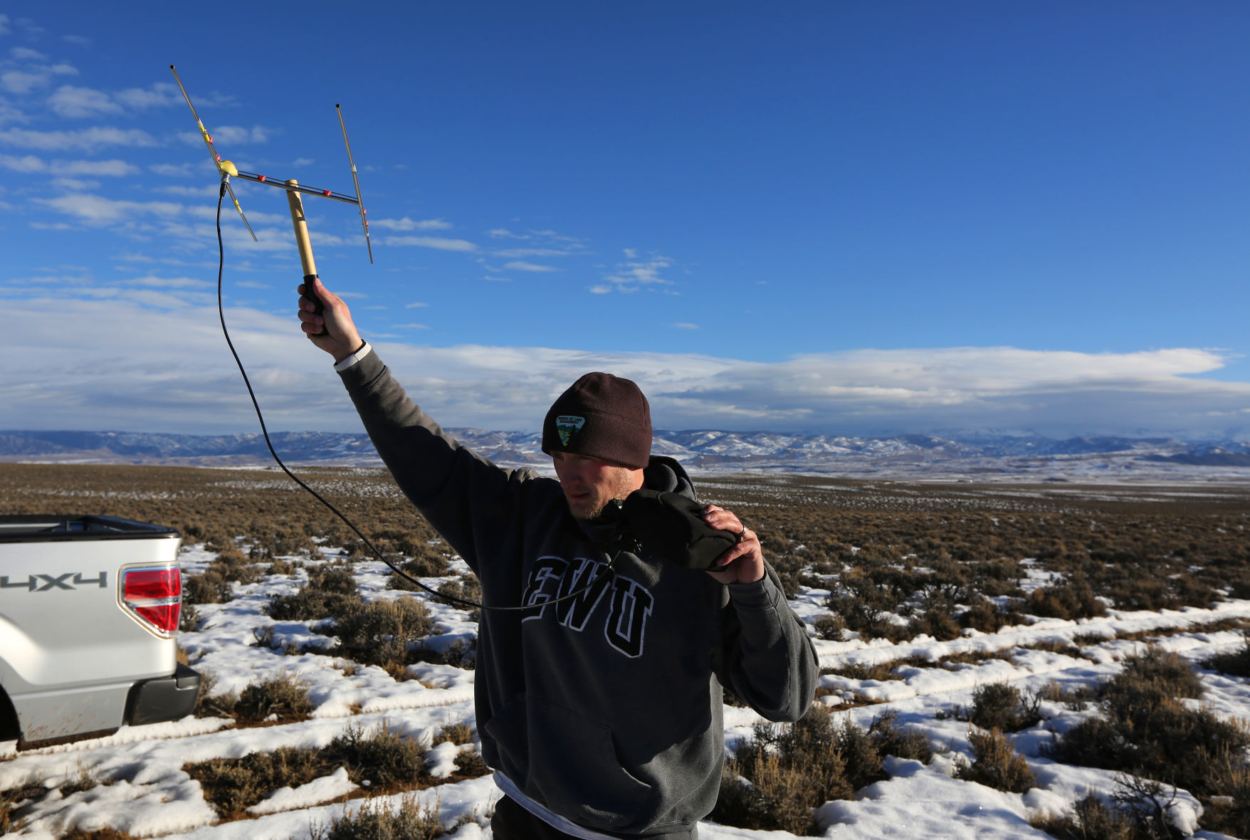 Sage Grouse Eat Dirt